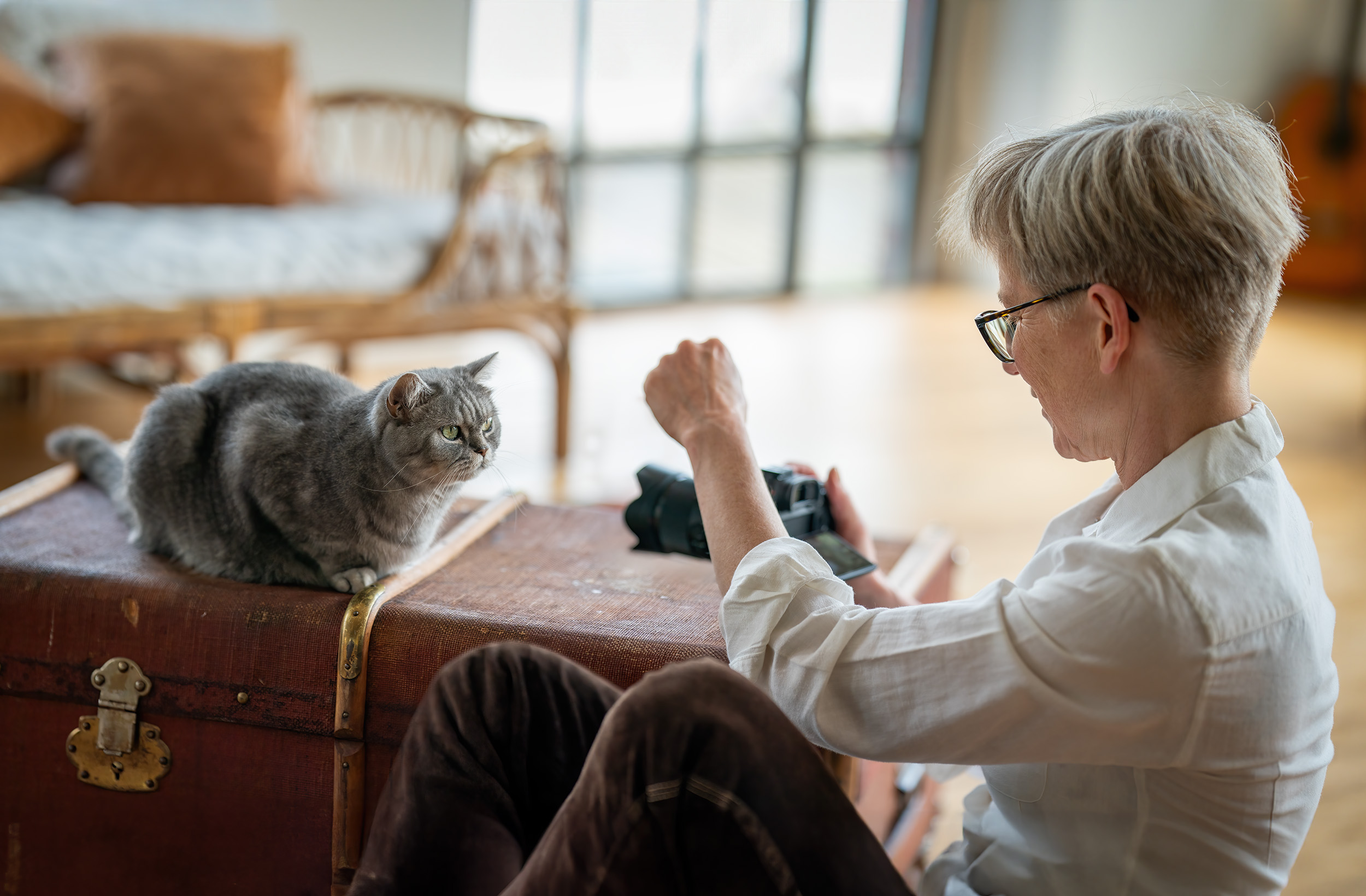Katzenpsychologin Anja Ludwig fotografiert katze Tierfotografin fotografiert katze im studio